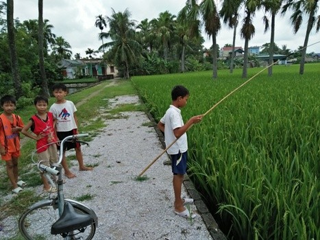 Sau những giờ học trên lớp là cảnh một số học sinh trường Trung học cơ sở Quảng Vọng ra đồng bắt cá để cải thiện bữa ăn. Ảnh: DU THIÊN