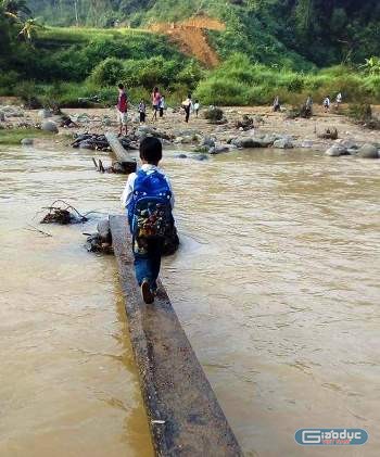 Hằng ngày, học sinh tiểu học Yên Thắng 1 phải đến trường qua những cây cầu tạm, bên dưới là dòng nước chảy xiết. Ảnh tư liệu do giáo viên cung cấp.
