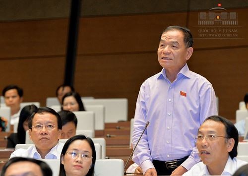 Đại biểu Quốc hội Lê Thanh Vân, Ủy viên thường trực Ủy ban Tài chính - Ngân sách Quốc hội. Ảnh: Quochoi.vn.