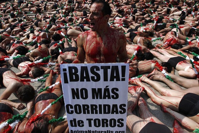Hơn 250 nam nữ thanh niên Mexico đóng vai những chú bò tót bị giết chết. Họ cởi áo, bôi máu lên người và xiên lên người những thanh tre. Những thanh tre này vẫn thường được các võ sĩ đấu bò (matador) dùng để đánh, giết những chú bò tót trong các cuộc đấu bò.