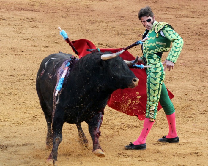 Mất một mắt, Juan Jose Padilla gặp khó khăn khi xoay sở với con bò tót.