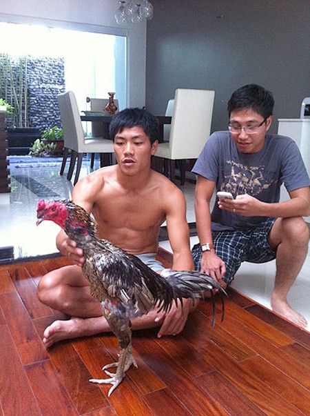Quang Hải đang chăm sóc một chú gà trong nhà của anh ở Nha Trang.