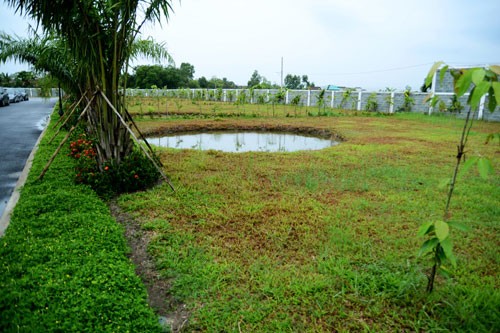 Một góc của khu vườn nhà ca sĩ Kiwi Ngô Mai Trang.