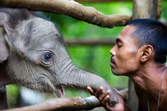 50 bức ảnh động vật đẹp nhất năm 2012 (P1) | Giáo dục Việt Nam