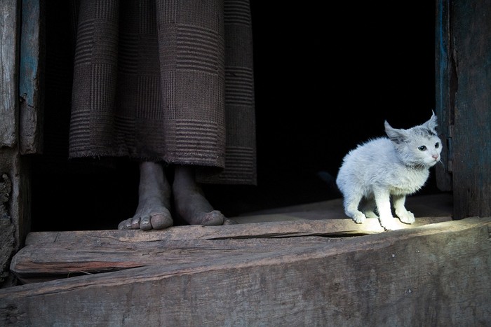 DUSK IN THE BALE MOUNTAINS: Một chú mèo con và cụ già đứng bên ngoài căn nhỏ nhỏ ở núi BALE, phía Đông Nam Ethiopia. Tác giả: Benjamin Guez.