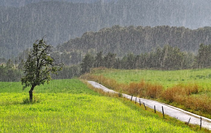 LANDSCAPE IN THE RAIN: Trời mưa nặng hạt nhưng lại có nắng; ánh nắng mặt trời phản chiếu qua các hạt mưa giúp phong cảnh xung quanh trở nên đẹp hơn. Ảnh chụp của Mihaly Attila Kazsuba ở Bergueda, Catalonia, Tây Ban Nha.