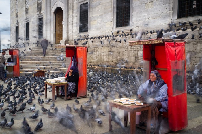 THE PIGEON FEEDERS: Bức ảnh này được chụp ở lối vào ngôi đền New Mosque ở quận Eminonu, Istanbul, Thổ Nhĩ Kỳ. Lũ chim bồ câu bay qua lại các bàn chứa thức ăn.