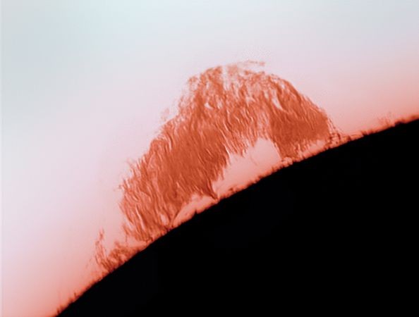 Phần nhô mặt trời trong bức ảnh có chiều cao khoảng 80.000km và trải dài 241.000km theo rìa mặt trời. 