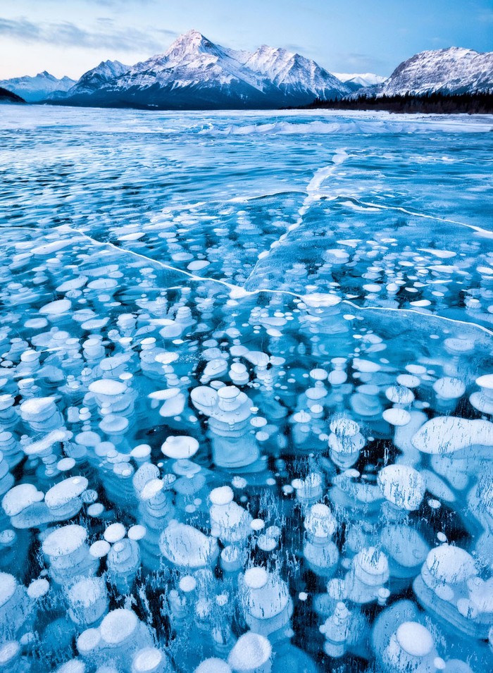 Bức ảnh này được chụp tại một khu vực khô cằn ở núi dãy nũi Rocky, Canada, vào mùa Đông. Nhiệt độ xuống dưới 30 độ C, nhưng không có tuyết rơi trên mặt hồ, cho phép tác giả bức ảnh nhìn thấy và ghi lại được hình ảnh những bong bóng khí thoát ra từ đáy hồ và bị dính lại trong nước đóng băng. Ảnh: Emmanuel Coupe-Kolomiris.