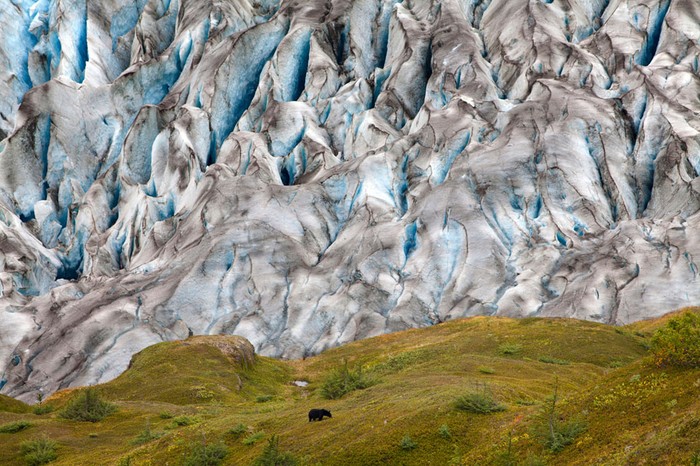 Ảnh chụp núi băng tự nhiên Harding Ice-field của Colin McCrindle.