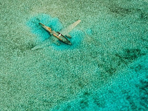 Một chiếc máy bay Cessna C172 nằm dưới đáy biển gần hòn đảo Bahamas. Chiếc máy bay bị rơi vào năm 1980 khi đang vận chuyển ma túy trái phép từ Colombia đến Bahamas - Ảnh: Bjorn Moerman.