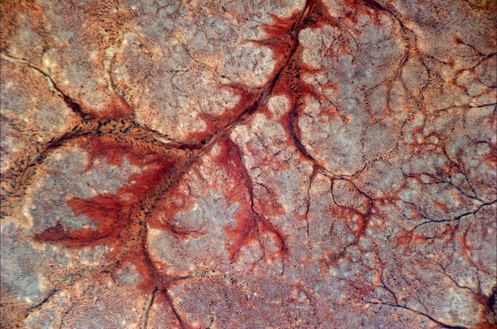 21. Vùng sa mạc của Somalia nhìn như gân của chiếc lá đỏ muà thu ( 30/ 1/ 2011)