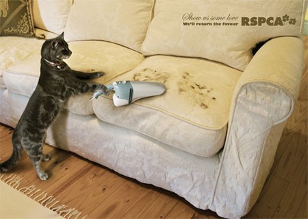 Đến mèo cũng phải viện trợ đến máy hút bụi siêu việt RSPCA để phi tang dấu vết.
