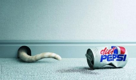 Con mèo này uống xong lon Pepsi Diet thì chui được luôn vào hang chuột !