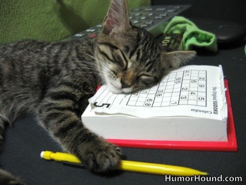 Sudoku khó quá ! Ngủ tí đã !