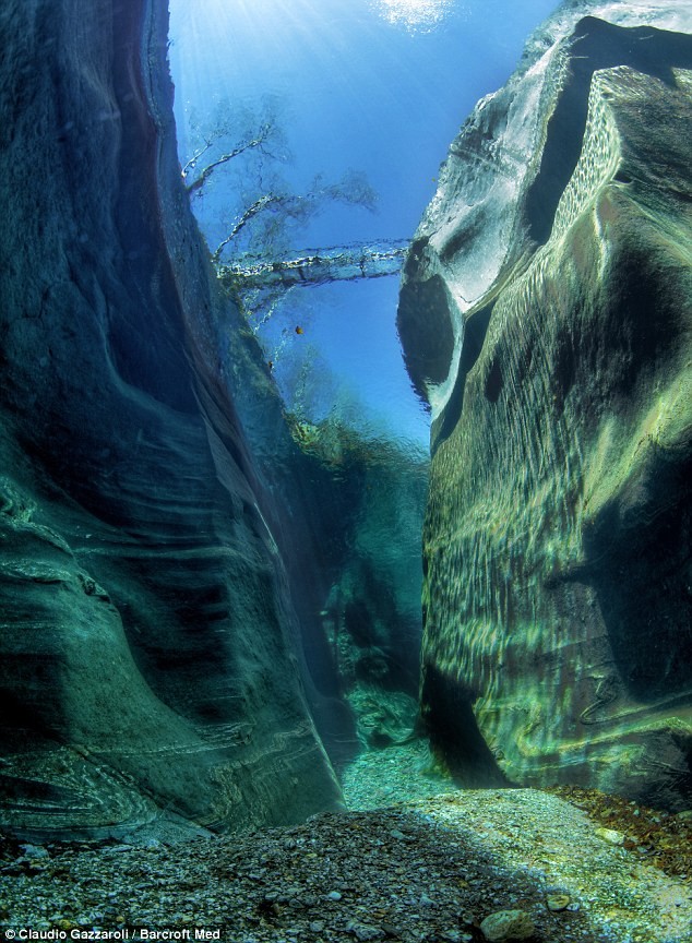 Nhìn từ đáy, nước sông trông như tinh thể pha lê vô cùng đẹp mắt. Nhiếp ảnh gia Claudio Gazzaroli khi đi qua cây cầu Roman đã quyết định nhảy xuống nước cùng với chiếc camera để chụp lại hình ảnh đáng giá này và đưa lên một trang web nổi tiếng về du lịch