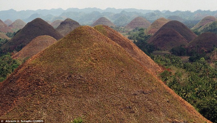 8. Những “Ngọn đồi chocolate” trên đảo Bohol, Philippine là những ngọn đồi tự nhiên được hình thành cách đây 1700 và được phủ lớp cỏ nâu giống màu chocolate vào mùa khô.