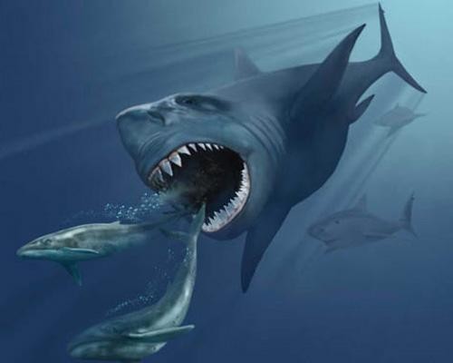 Đây là loài cá mập Carcharocles megalodon khổng lồ dài gần 16m với bộ hàm đủ lớn để nuốt chửng một con tê giác. Loài này sống cách đây khoảng 1,5 triệu năm. Một số người tin rằng chúng vẫn còn sống ẩn lấp đâu đó dưới đáy đại dương sâu nhất mặc dù chưa có bằng chứng chính xác về điều này.