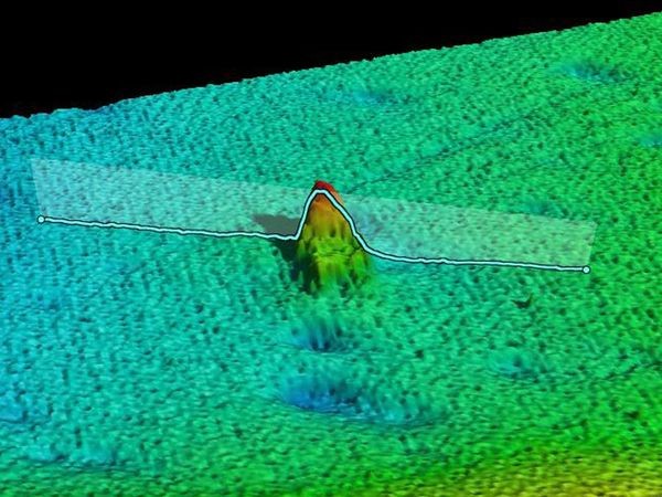 Một phần của xác tàu đắm nhô lên từ đáy biển giống như đỉnh núi trong hình ảnh thu được từ các thiết bị siêu âm tìm kiếm tàu chìm từ tàu R/V Falkor trong một thử nghiệm của nhóm các nhà khoa học đến từ Viện Hải dương Schmidt - Những nhà khoa học đã phát hiện ra xác con tàu Tera Nova vào ngày 11/7