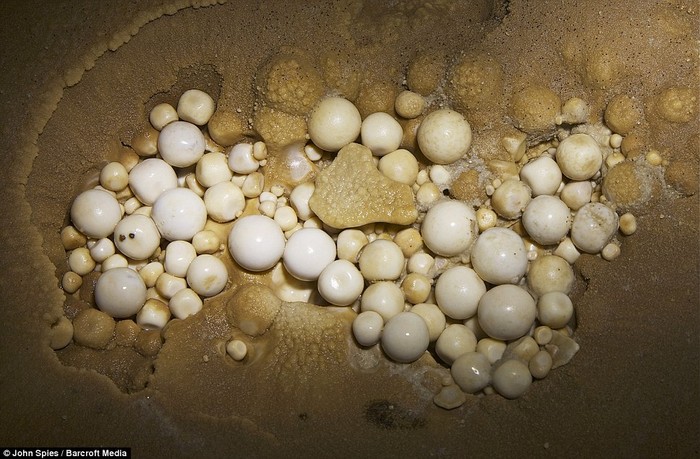 Đá trứng cá hay còn gọi là ngọc trai hang động được chụp tại một hang động tại Pang Mapha