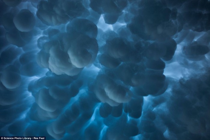 Mây Mammatus hay còn gọi là “mây vú”. Đám mây hình bầu vú thường đi kèm với các cơn bão lớn.