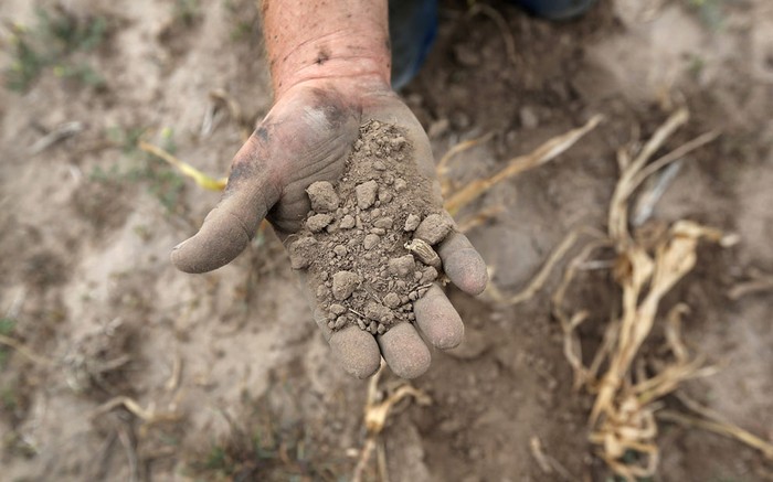 Người nông dân Darren Becker đang rắc lớp đất khô cằn trên cánh đồng bị hạn hán phá hủy tại trang trại gia đình mình ở Logan, Kansas vào 24/8/2012. Giống như nhiều người dân vùng Kansas, trang trại gia đình Becker cũng bị ảnh hưởng lớn trong đợt hạn hán kỉ lục này.