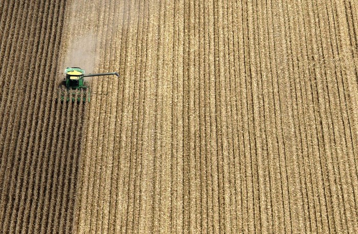 Một chiếc máy thu hoạch ngô trên cánh đồng gần Arkansas, Mỹ ( 16/8/2012). Cục dự báo khí tượng thủy văn nước này cho biết tình trạng hạn hán sẽ kéo dài ít nhất đến hết tháng mười.