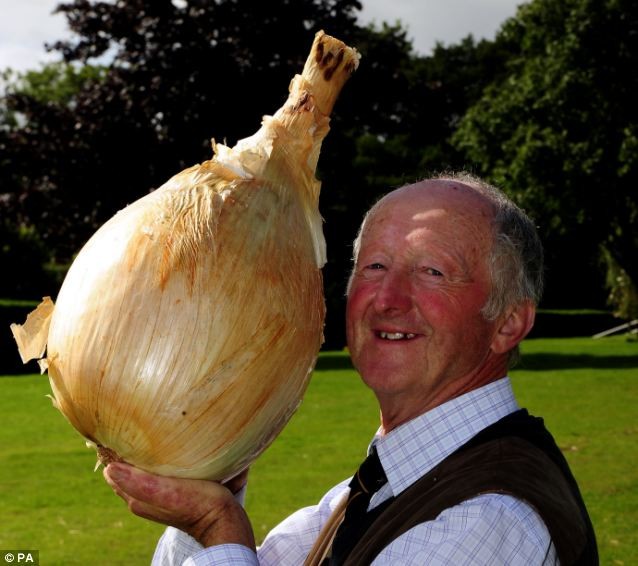 Giải nhất cuộc thi thuộc về củ hành tây lớn nhất thế giới của nhà làm vườn Peter Glazebrook 68 tuổi.