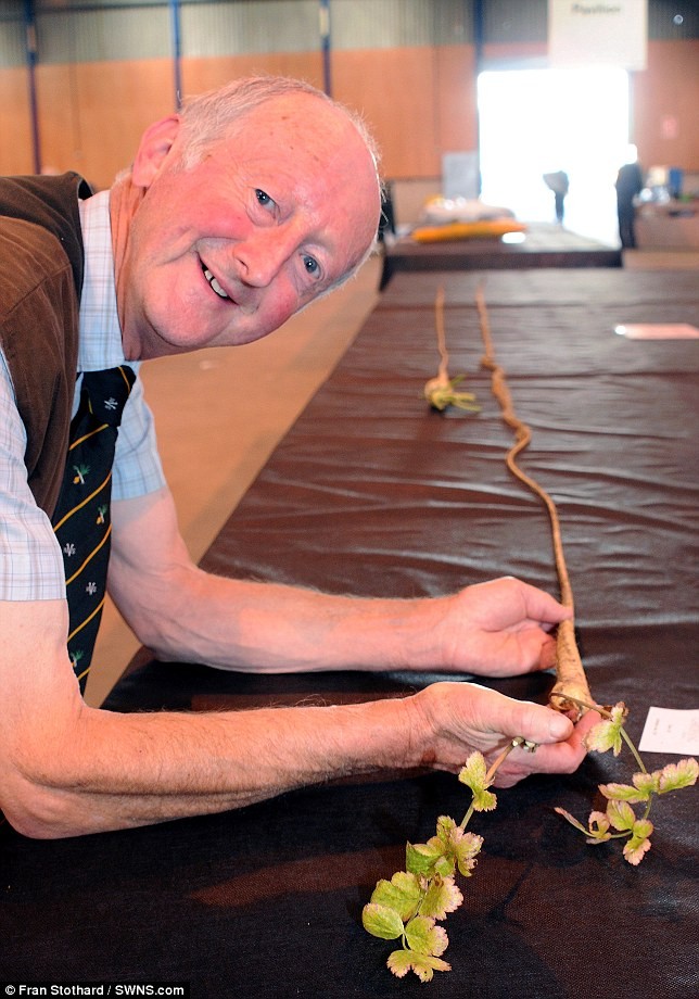 Đầu năm nay, ông cũng trồng thành công củ cải vàng dài nhất thế giới với chiều dài gần 6m. Và đây cũng là củ cải vàng nặng nhất trong cuộc thi.