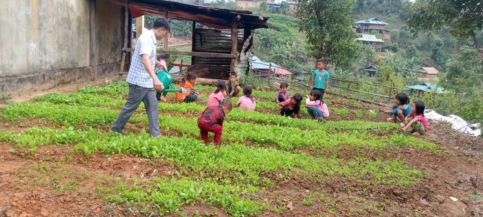 Thầy và trò Trường Phổ thông Dân tộc Bán trú Tiểu học Pa Ủ, huyện Mường Tè, tỉnh Lai Châu tự trồng thêm rau để cải thiện bữa ăn hàng ngày. (Ảnh: Nhà trường cung cấp).
