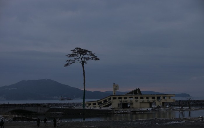Hình ảnh cây thông duy nhất còn sống sót sau thảm hoạ đã trở thành biểu tượng của tinh thần Nhật Bản.