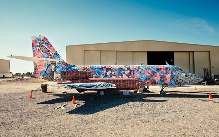 Nghệ sĩ Eric Firestone đã đưa ra ý tưởng vẽ tranh lên những chiếc máy bay cũ kỹ đang nằm tại khu Boneyard nổi tiếng ở sa mạc Arizona, nơi mà máy bay chỉ còn “nằm chờ chết”.