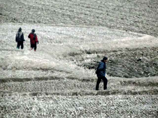 Những người nông dân Triều Tiên.