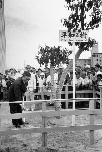 Một buổi lễ trồng cây với lời nhắn về Hoà bình tại Hiroshima, năm 1947.