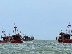 Tàu cá Trung Quốc tràn ra Biển Đông. (Nguồn: News China)