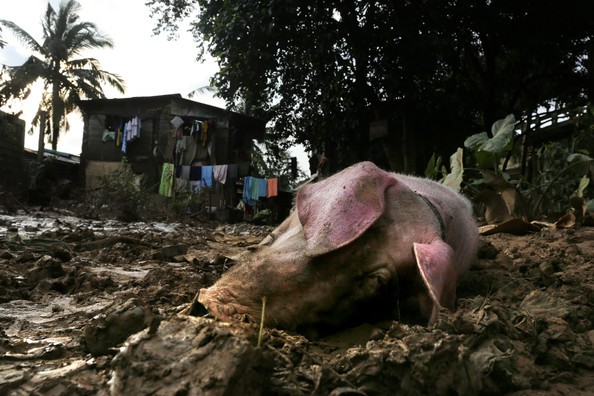 Trận lụt do mưa lớn kéo dài đã gây thiệt hại khủng khiếp về người và của đối với người dân Philippines.