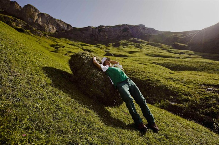 Người nông dân Thụy Sĩ Kari Gisler nằm trên một bó cỏ dại khi ông cắt được trên một sườn đồi ở núi Rophaien, làng Flueelen. Việc cắt cỏ dại được thực hiện từ giữa tháng 7 cho đến giữa tháng 9.