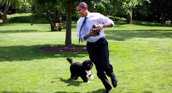 Chơi đùa cùng chú chó có tên Bo tại Nhà Trắng.