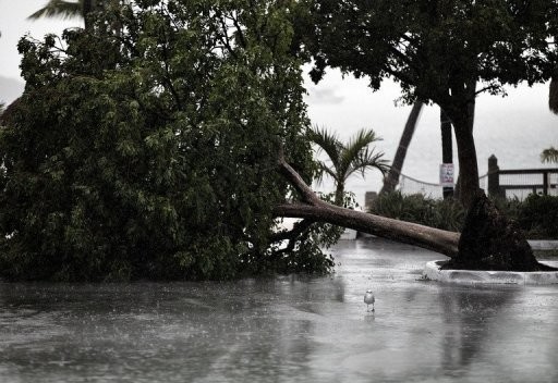 Bão Isaac di chuyển qua Marathon, Florida. Các cư dân đã được kêu gọi di tản khỏi những khu vực nguy hiểm và có thể phải đối mặt với tình trạng mất điện do ảnh hưởng của bão.
