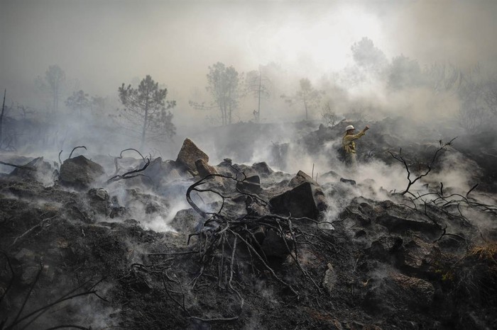 Một người lính cứu hỏa đứng trong khu rừng bị cháy khô ở Oje, Tây Ban Nha. Hơn 250 nhân viên cứu hỏa với 8 máy bay và 9 chiếc trực thăng, đã chống chọi với ngọn lửa.