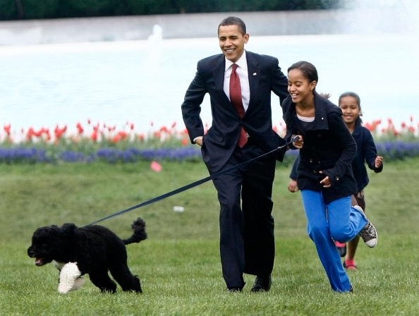 Ông Obama và hai con gái chơi đùa với chú chó cưng của gia đình có tên là Bo, thuộc giống chó bơi giỏi Bồ Đào Nha và do Thượng nghị sĩ Ted Kennedy tặng.