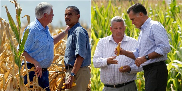 Obama kiểm tra tình hình hạn hán gây ảnh hưởng đến năng suất trồng ngô cùng với người nông dân Roger McIntosh tại Thung lũng Missouri, Iowa. Trong khi đó, ông Romney kiểm tra chất lượng ngô cùng với Bộ trưởng Nông nghiệp Mỹ Bill Northey tại một trang trại ở Des Moines, Iowa.