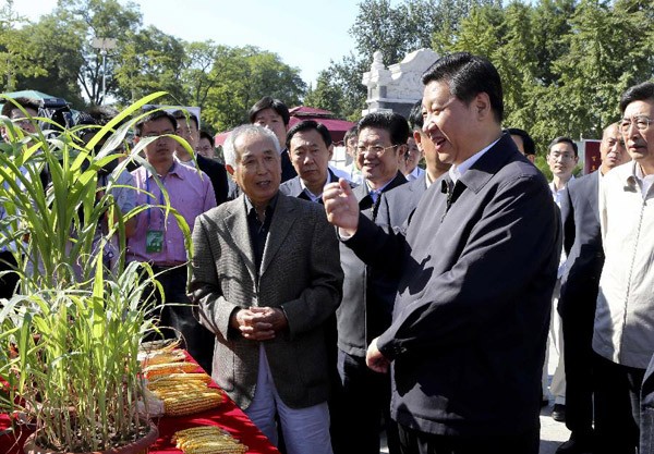 Phó Chủ tịch Trung Quốc Tập Cận Bình cười nói với các quan chức khác.