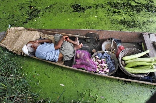 Trên hồ Dal ở thành phố Srinagar, một cụ già đang tranh thủ ngủ trưa trên chiếc thuyền chất đầy rau quả.