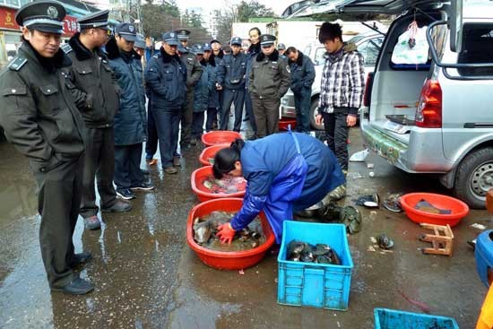 Trước đó, hồi đầu năm nay, tại một ngã tư ở Nam Kinh, các thanh tra đã đứng quanh một hàng cá cho đến khi chủ hàng không chịu được và phải rời đi.