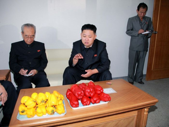 Nhà lãnh đạo Kim Jong-un bày tỏ hy vọng rằng các nhà khoa học và nhân viên của viện sẽ đạt được những thành công lớn trong nghiên cứu và sản xuất rau.