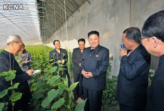 Nhà lãnh đạo Bắc Triều Tiên chỉ đạo Viện nghiên cứu trồng hoa Bình Nhưỡng cần nhập khẩu các loài hoa nổi tiếng thế giới và giúp chúng thích nghi với các điều kiện khí hậu và đất của đất nước.