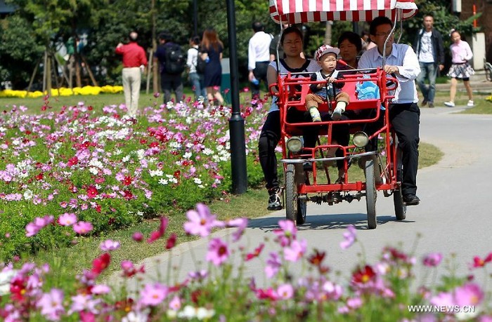 Thưởng ngoạn vẻ đẹp của hoa tại Vườn Bách thảo Thượng Hải.