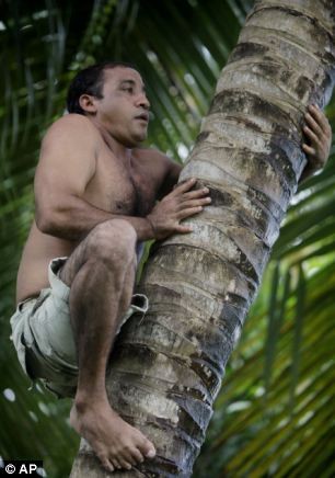 Hernandez sống bằng nghề hái dừa và chụp ảnh lưu niệm với khách du lịch