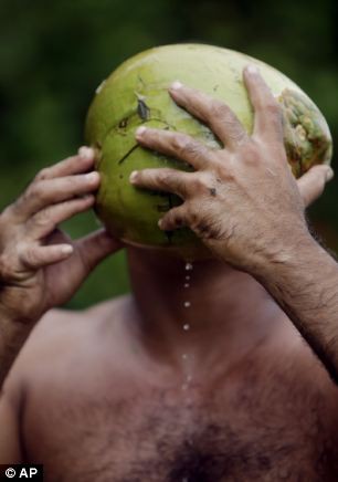 Chàng trai 24 của Cuba uống nước dừa